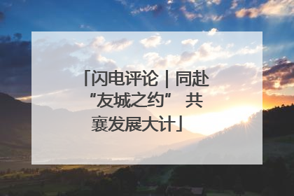 闪电评论｜同赴“友城之约” 共襄发展大计
