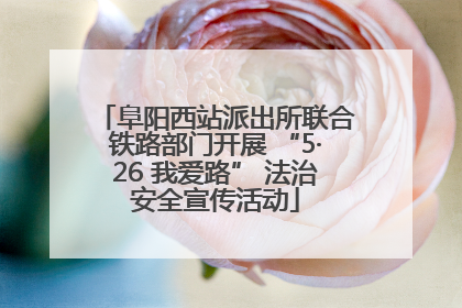 阜阳西站派出所联合铁路部门开展 “5·26 我爱路” 法治安全宣传活动
