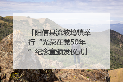 阳信县流坡坞镇举行“光荣在党50年”纪念章颁发仪式