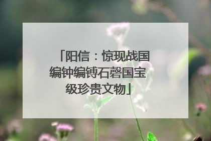 阳信：惊现战国编钟编镈石磬国宝级珍贵文物