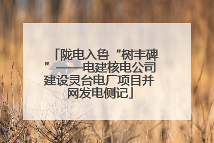 陇电入鲁“树丰碑”——电建核电公司建设灵台电厂项目并网发电侧记