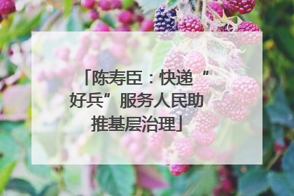 陈寿臣：快递“好兵”服务人民助推基层治理