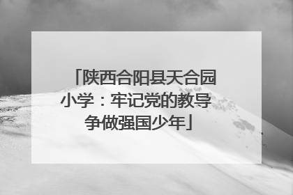 陕西合阳县天合园小学：牢记党的教导 争做强国少年
