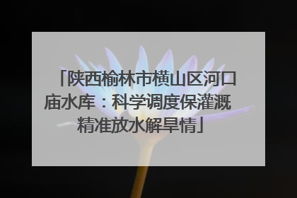陕西榆林市横山区河口庙水库：科学调度保灌溉 精准放水解旱情