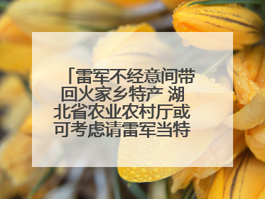 雷军不经意间带回火家乡特产 湖北省农业农村厅或可考虑请雷军当特产大使