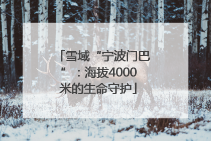 雪域“宁波门巴”：海拔4000米的生命守护