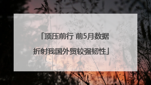 顶压前行 前5月数据折射我国外贸较强韧性