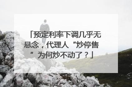 预定利率下调几乎无悬念，代理人“炒停售”为何炒不动了？