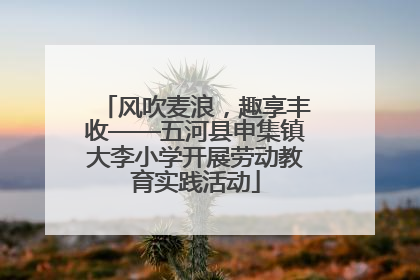 风吹麦浪，趣享丰收——五河县申集镇大李小学开展劳动教育实践活动