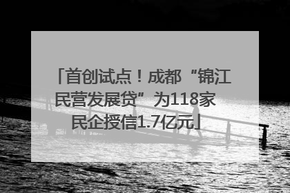 首创试点！成都“锦江民营发展贷”为118家民企授信1.7亿元