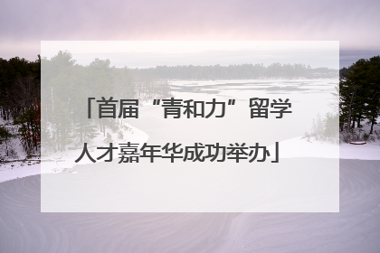 首届“青和力”留学人才嘉年华成功举办