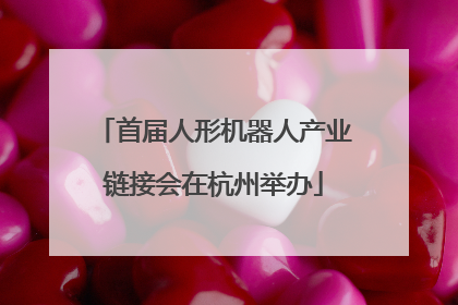 首届人形机器人产业链接会在杭州举办