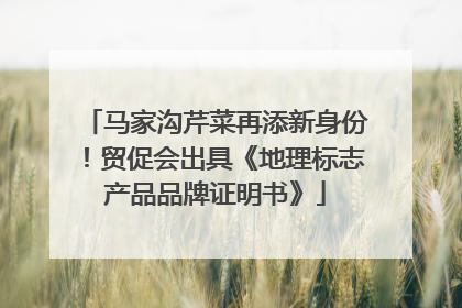 马家沟芹菜再添新身份！贸促会出具《地理标志产品品牌证明书》
