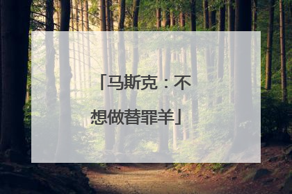 马斯克：不想做替罪羊