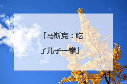 马斯克：吃了儿子一拳