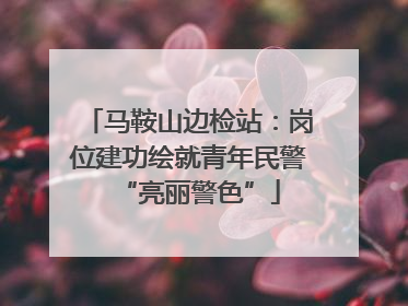 马鞍山边检站：岗位建功绘就青年民警“亮丽警色”