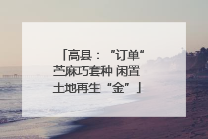 高县：“订单”苎麻巧套种 闲置土地再生“金”
