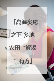 高温炙烤之下 多地农田“解渴”有方