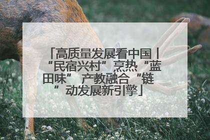 高质量发展看中国丨“民宿兴村”烹热“蓝田味” 产教融合“链”动发展新引擎