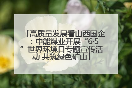 高质量发展看山西国企：中能煤业开展“6·5”世界环境日专题宣传活动 共筑绿色矿山