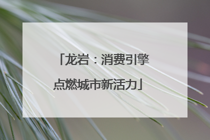 龙岩：消费引擎点燃城市新活力