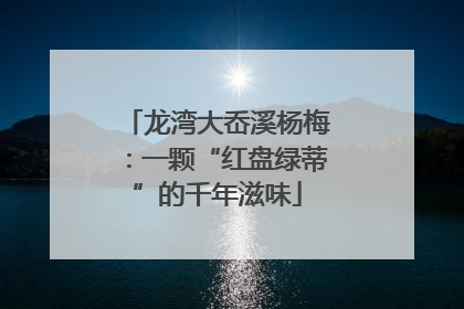 龙湾大岙溪杨梅：一颗“红盘绿蒂”的千年滋味