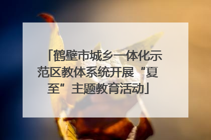 鹤壁市城乡一体化示范区教体系统开展“夏至”主题教育活动