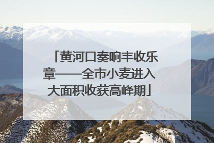 黄河口奏响丰收乐章——全市小麦进入大面积收获高峰期