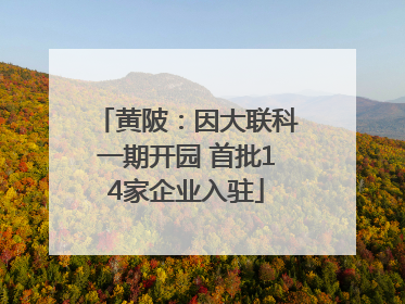 黄陂：因大联科一期开园 首批14家企业入驻