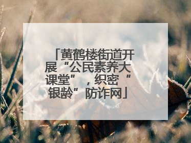 黄鹤楼街道开展“公民素养大课堂”，织密“银龄”防诈网
