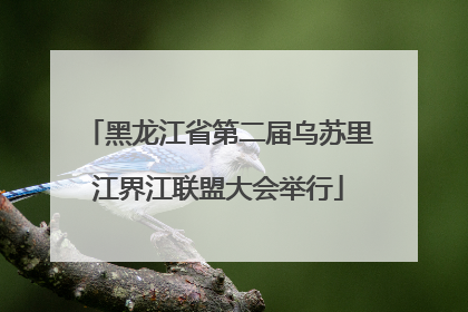 黑龙江省第二届乌苏里江界江联盟大会举行