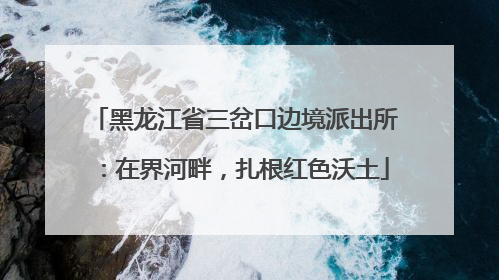 黑龙江省三岔口边境派出所：在界河畔，扎根红色沃土