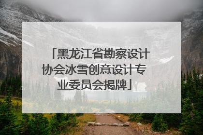 黑龙江省勘察设计协会冰雪创意设计专业委员会揭牌