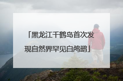 黑龙江千鹤岛首次发现自然界罕见白鸬鹚