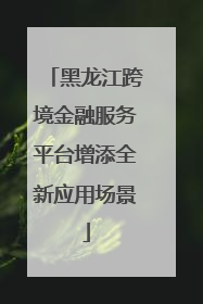 黑龙江跨境金融服务平台增添全新应用场景