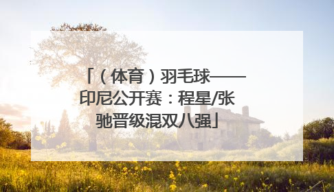 （体育）羽毛球——印尼公开赛：程星/张驰晋级混双八强