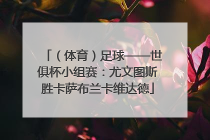 （体育）足球——世俱杯小组赛：尤文图斯胜卡萨布兰卡维达德