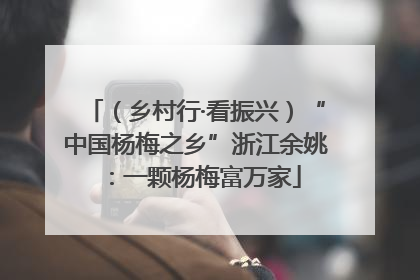 （乡村行·看振兴）“中国杨梅之乡”浙江余姚：一颗杨梅富万家