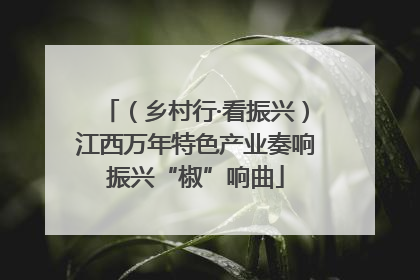 （乡村行·看振兴）江西万年特色产业奏响振兴“椒”响曲