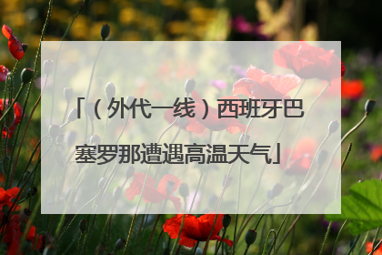 （外代一线）西班牙巴塞罗那遭遇高温天气