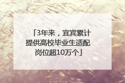 3年来，宜宾累计提供高校毕业生适配岗位超10万个