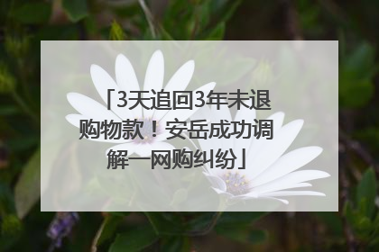 3天追回3年未退购物款！安岳成功调解一网购纠纷