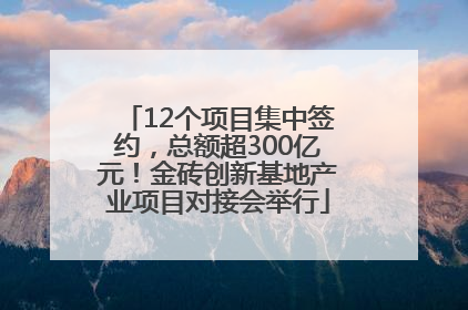 12个项目集中签约，总额超300亿元！金砖创新基地产业项目对接会举行