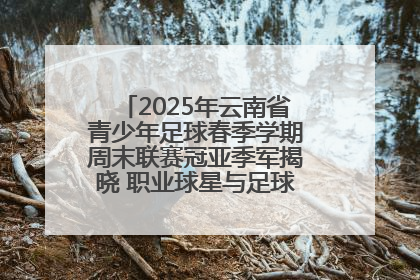 2025年云南省青少年足球春季学期周末联赛冠亚季军揭晓 职业球星与足球小将共享荣耀时刻