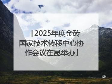 2025年度金砖国家技术转移中心协作会议在昆举办