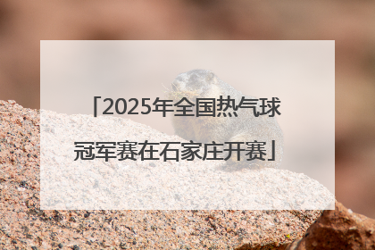 2025年全国热气球冠军赛在石家庄开赛