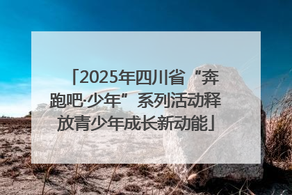 2025年四川省“奔跑吧·少年”系列活动释放青少年成长新动能