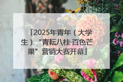 2025年青年（大学生）“青耘八桂·百色芒果”营销大赛开幕