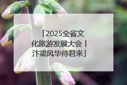 2025全省文化旅游发展大会丨汴梁风华待君来