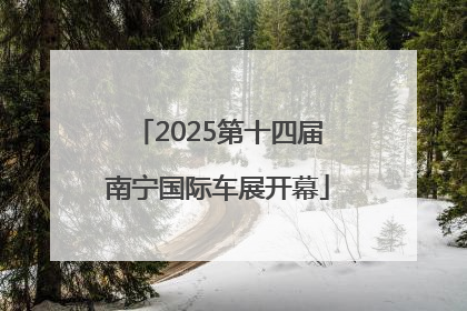 2025第十四届南宁国际车展开幕